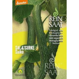 ReinSaat Salatgurke Saikó