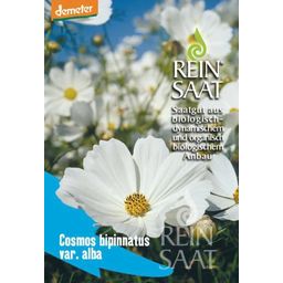 ReinSaat Witte Cosmea - 1 Verpakking