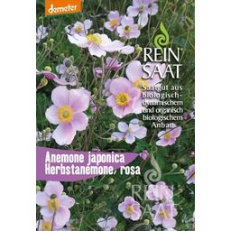 ReinSaat Autumn Anemone - 1 Pkg