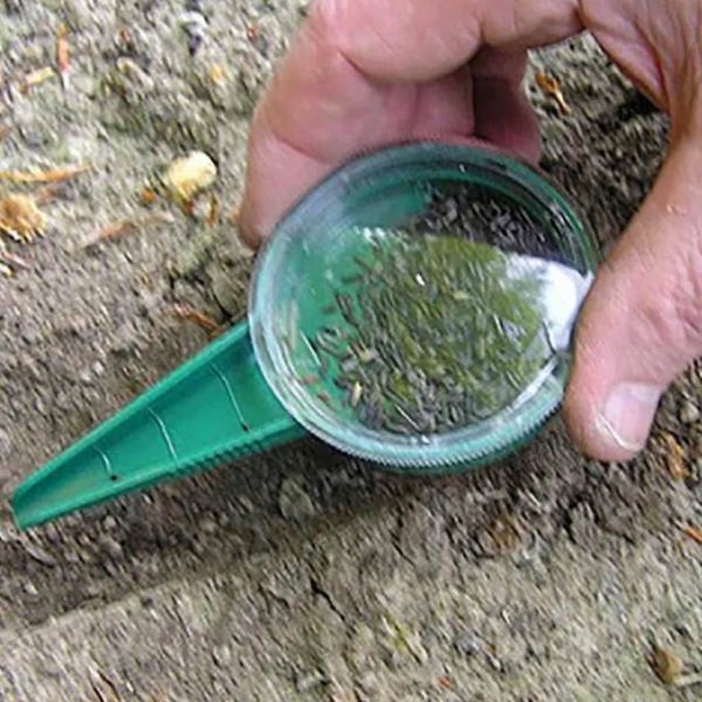 Growers Choice by Tildenet Seed Distributor - 1 item