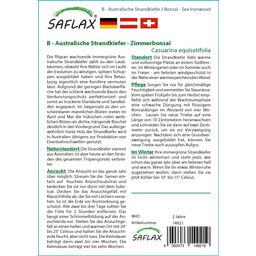 Saflax Bonsaï - Filao - 1 sachet