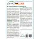 Saflax Bonsai - afriška glicinija - 1 pkt.