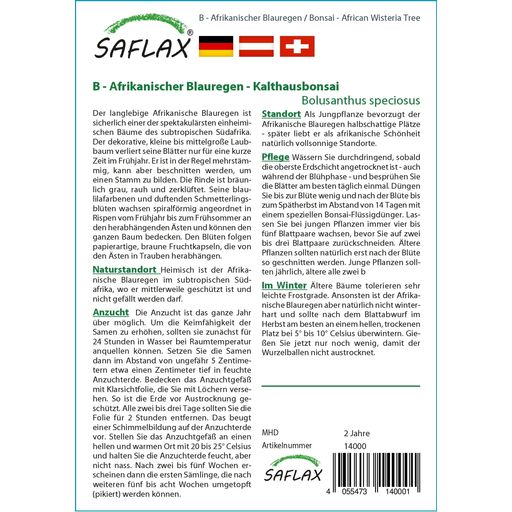 Saflax Bonsai - Glicine Africano - 1 conf.