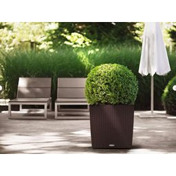 Cube Cottage Planter Complete Set in Granite - Mocha