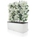 Lechuza Pflanzgefäß TRIO Cottage 30 - Weiß