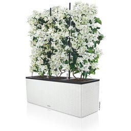 Lechuza Pflanzgefäß TRIO Cottage 30 - Weiß