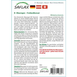 Saflax Bonsaï - Glycine de Chine - 1 sachet