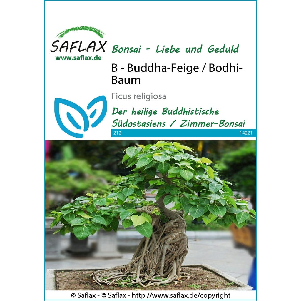 SAFLAX