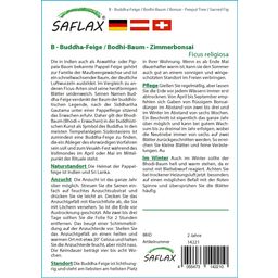 Saflax Bonsaï - Arbre de la Bodhi - 1 sachet