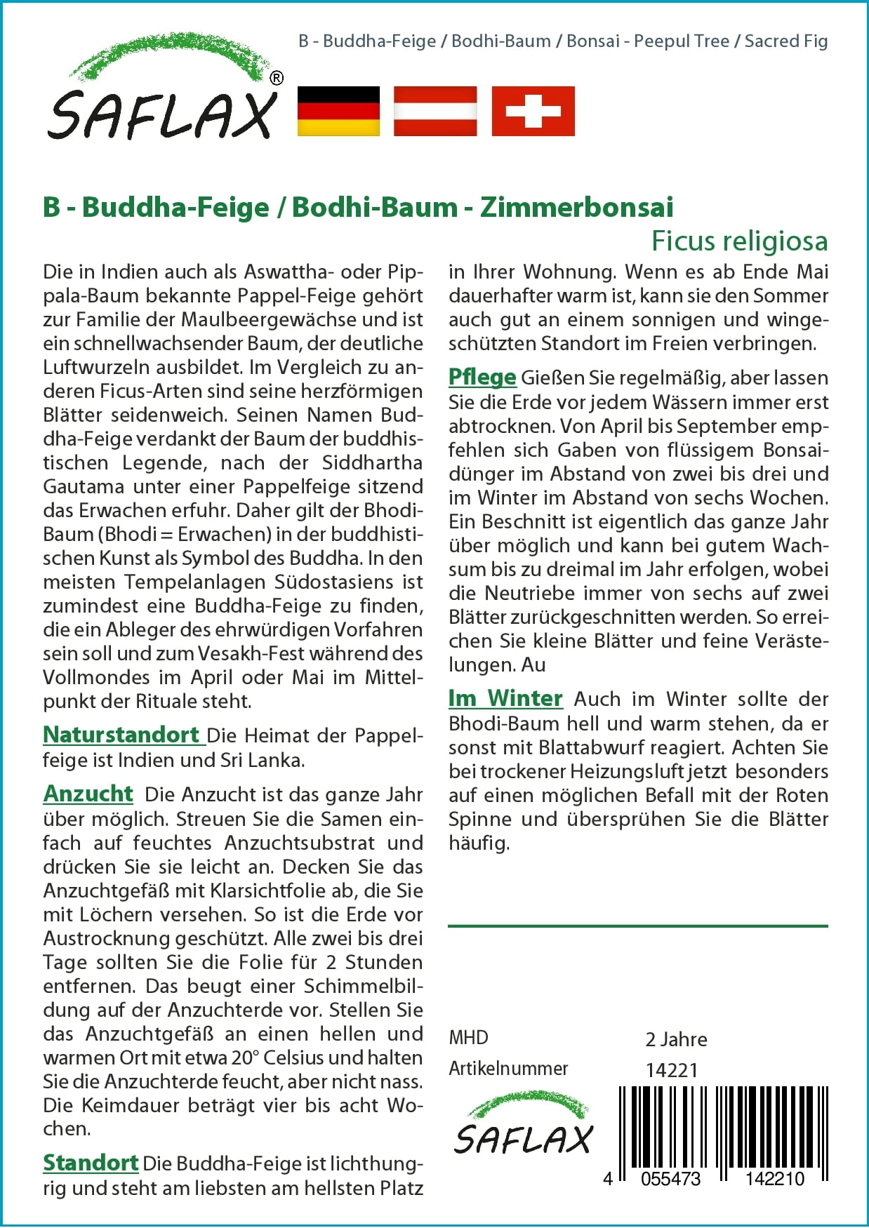 Saflax Bonsaï - Arbre de la Bodhi - 1 sachet