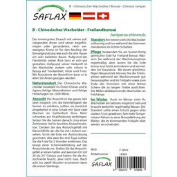 Saflax Bonsai - Kínai boróka - 1 csomag