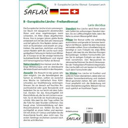Saflax Bonsaï - Mélèze d'Europe - 1 sachet