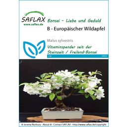 Saflax Bonsai - Europäischer Wildapfel