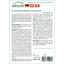 Saflax Bonsai - Europäischer Wildapfel - 1 Pkg