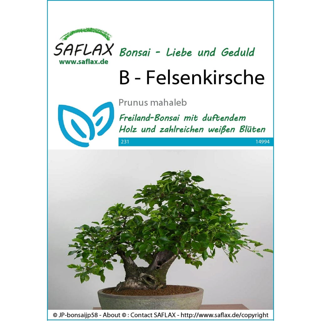 deckenventilator bambus Deckenventilator mit LED | Energieeffizient & Modern