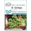 Saflax Bonsai - Ginkgo - 1 Verpakking
