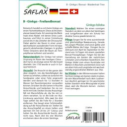 Saflax Bonsai - Ginkgo - 1 Verpakking