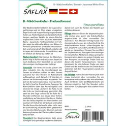 Saflax Bonsai - Sosna drobnokwiatowa - 1 opak.