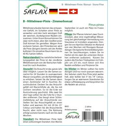 Saflax Bonsai - Mittelmeer-Pinie - 1 Pkg