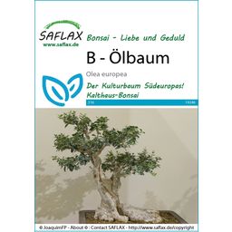Saflax Bonsai - Olive Tree - 1 Pkg
