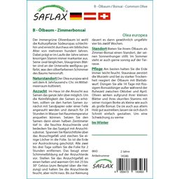 Saflax Bonsai - Olijfboom - 1 Verpakking