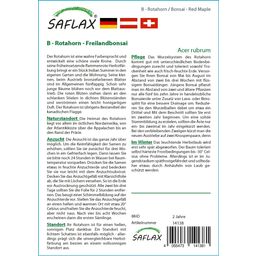 Saflax Bonsai - Rode Esdoorn - 1 Verpakking