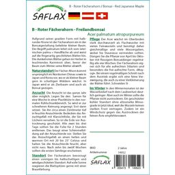 Saflax Bonsai - Roter Fächerahorn - 1 Pkg