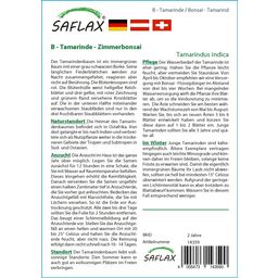 Saflax Bonsai - Tamarinde - 1 Verpakking