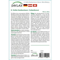 Saflax Bonsaï - Mûrier Blanc - 1 sachet
