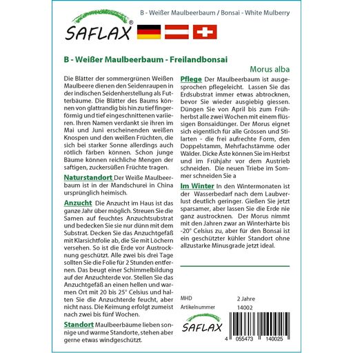 Saflax Bonsai - Weißer Maulbeerbaum - 1 Pkg