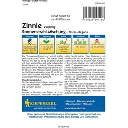 Kiepenkerl Youth-and-Age Zinnia  - 1 Pkg