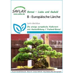 Saflax Bonsai - European Larch - 1 Pkg