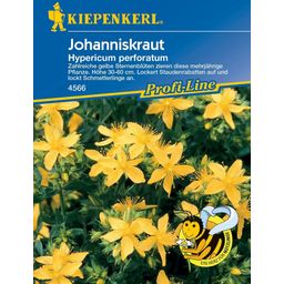 Kiepenkerl Johanniskraut - 1 Pkg