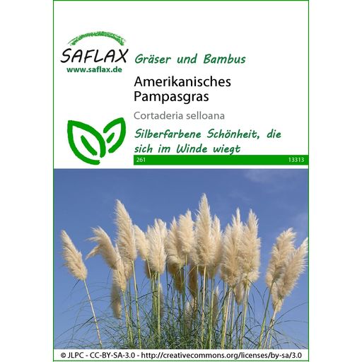 Saflax American Pampas Grass - 1 Pkg