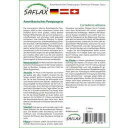 Saflax Amerikaanse Pampasgras - 1 Verpakking