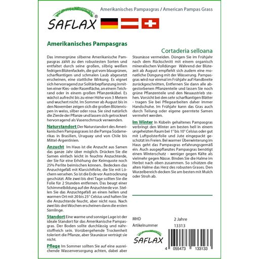 Saflax Amerikanisches Pampasgras - 1 Pkg
