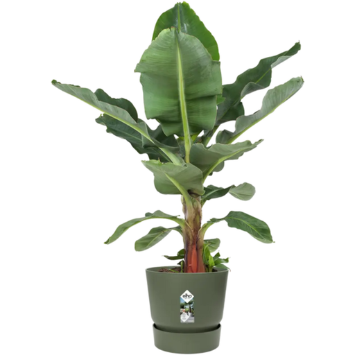 elho Pot GREENVILLE Rond - 30 cm - Leaf Green