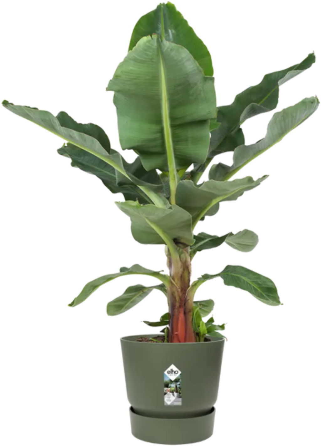 elho greenville Planter Round 30 cm - Leaf Green