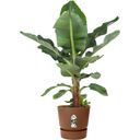 elho greenville Pot Rond 40 cm - gemberbruin