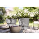 elho greenville Planter Round 20cm - Living Concrete