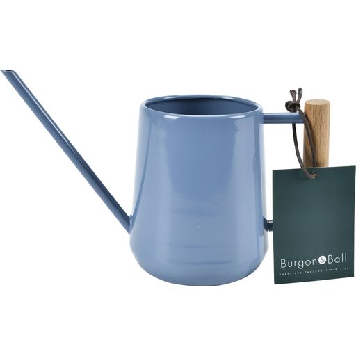 Small Watering Can For Indoor Plants, 