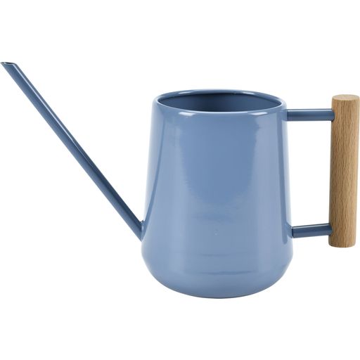 Small Watering Can For Indoor Plants, 