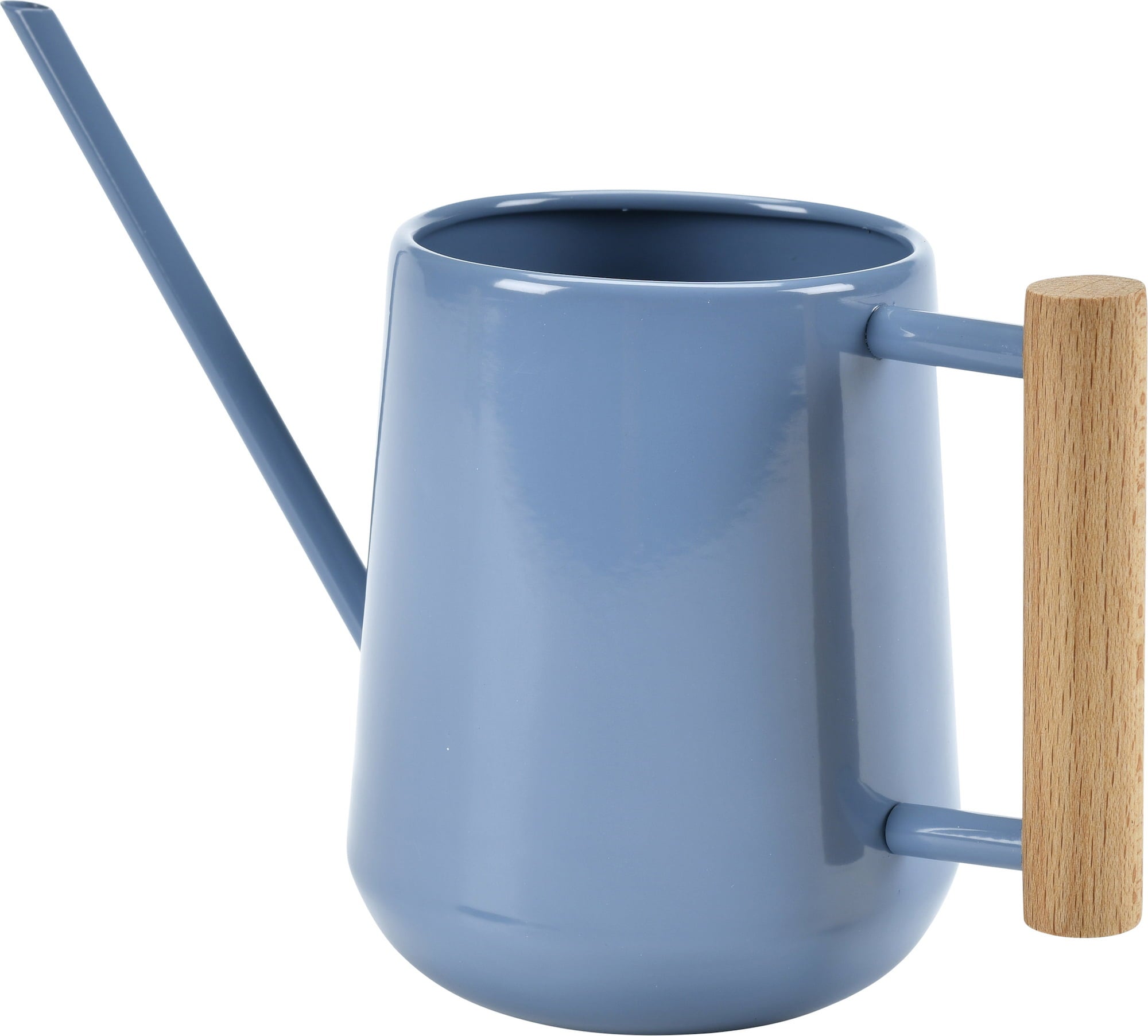 Small Watering Can For Indoor Plants, 