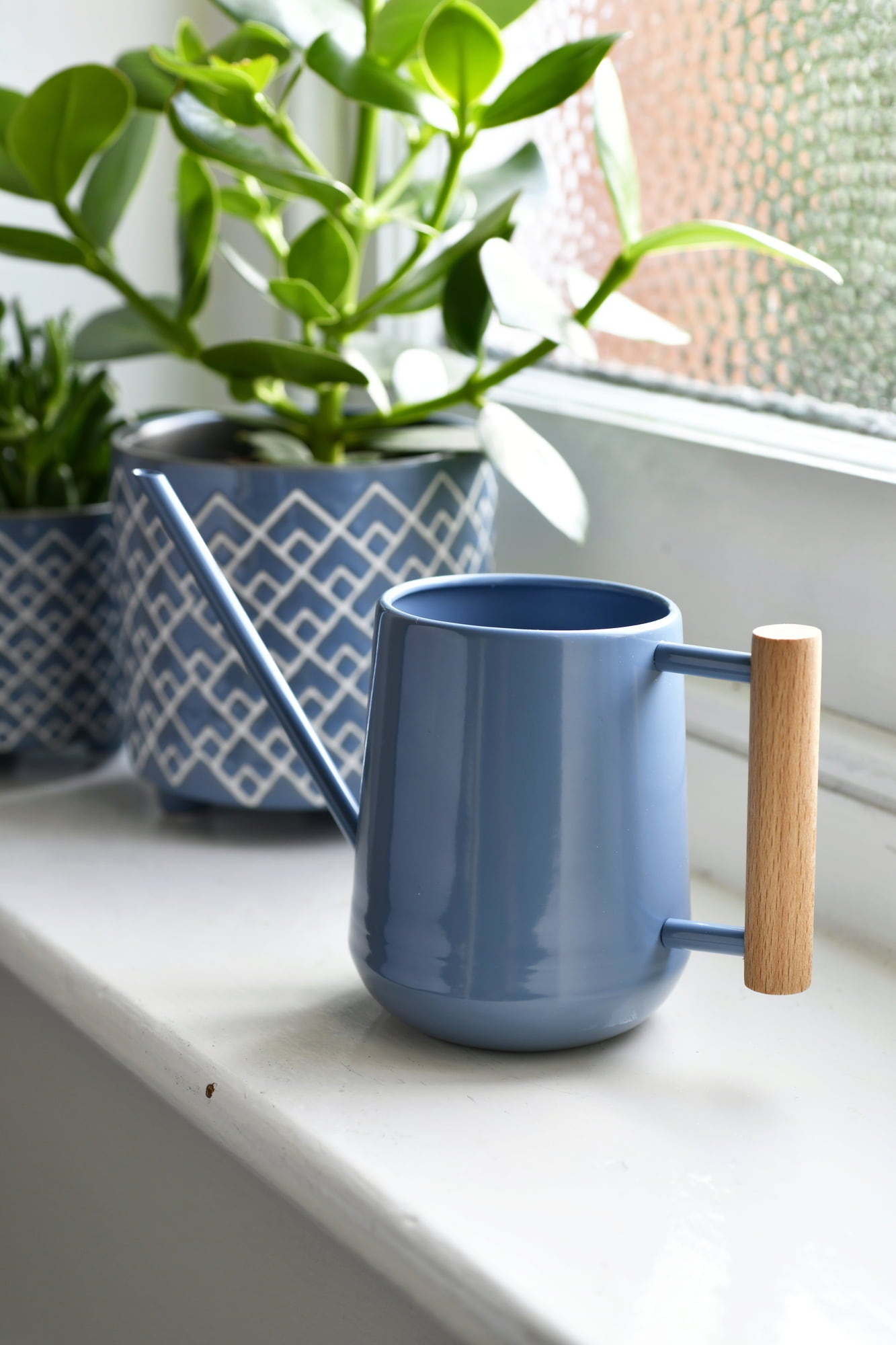 Small Watering Can For Indoor Plants, 