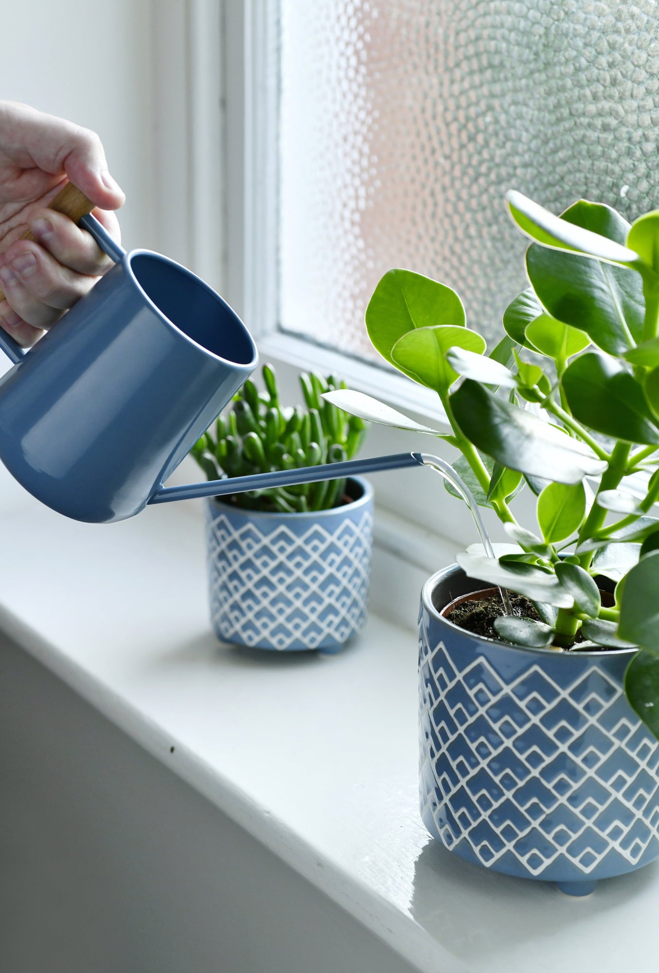 Small Watering Can For Indoor Plants, 