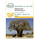 Saflax Afrikanischer Affenbrotbaum - 1 Pkg