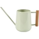 Small Watering Can For Indoor Plants - Pale Jade