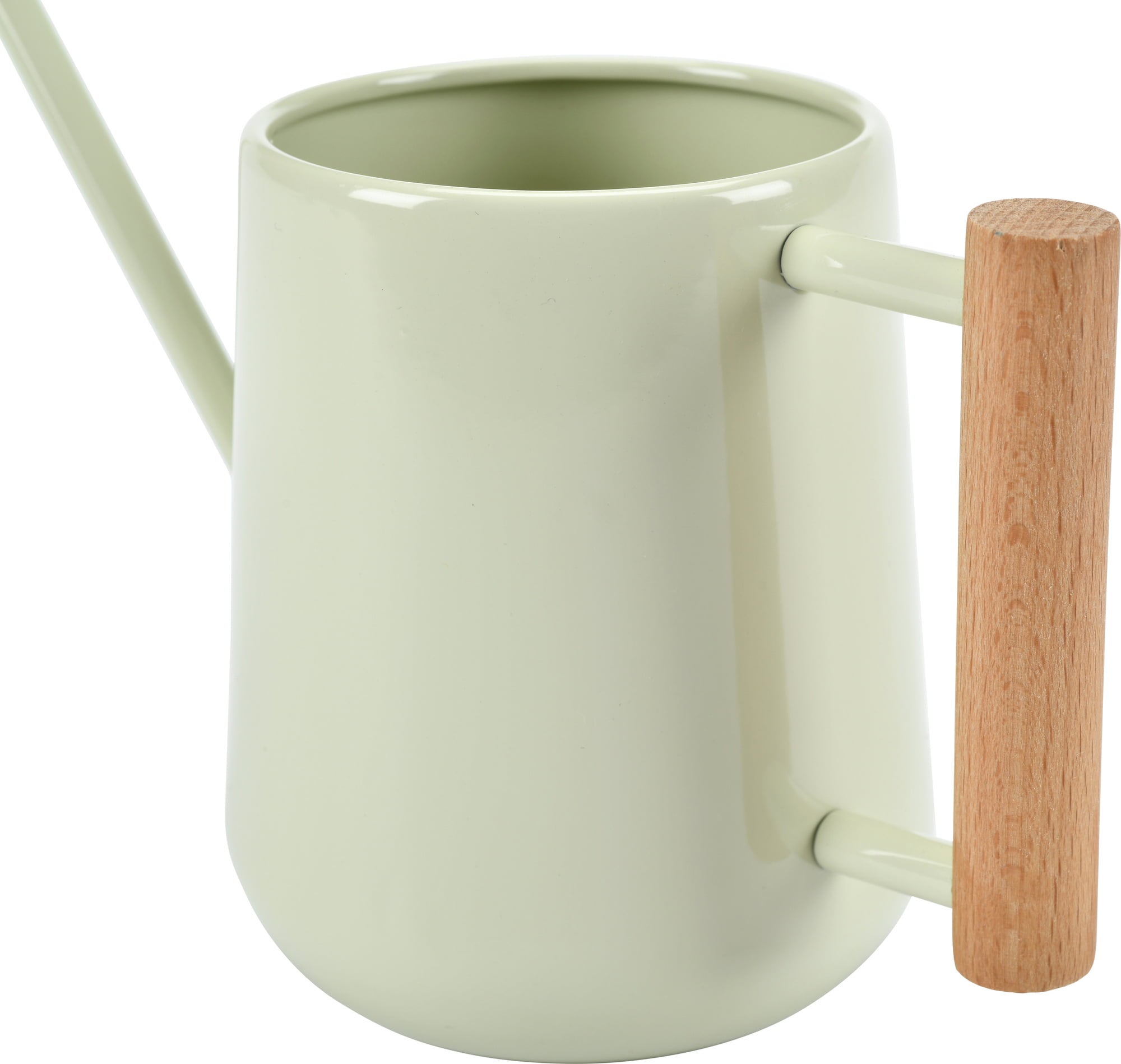 Arrosoir pour Plantes d'Intérieur 