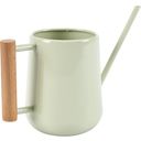 Small Watering Can For Indoor Plants - Pale Jade - 1 item