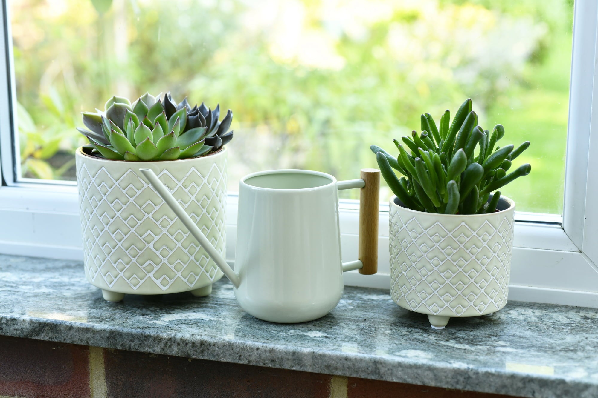 Arrosoir pour Plantes d'Intérieur 